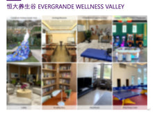 Load image into Gallery viewer, Case Study: Yixing Wellness Resort