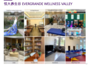 Case Study: Yixing Wellness Resort