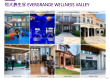 Load image into Gallery viewer, Case Study: Yixing Wellness Resort