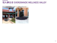 Load image into Gallery viewer, Case Study: Yixing Wellness Resort