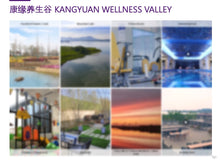 Load image into Gallery viewer, Case Study: Yixing Wellness Resort