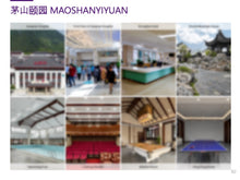 Load image into Gallery viewer, Case Study: Yixing Wellness Resort