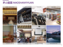 Load image into Gallery viewer, Case Study: Yixing Wellness Resort