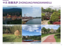 Load image into Gallery viewer, Case Study: Yixing Wellness Resort