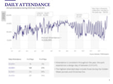 Load image into Gallery viewer, Disney Shanghai Attendance Profile &amp; Demographics (2023)