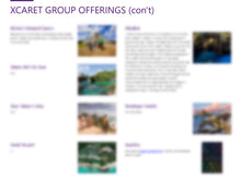 Load image into Gallery viewer, Case Study: Panama Attraction Concepts